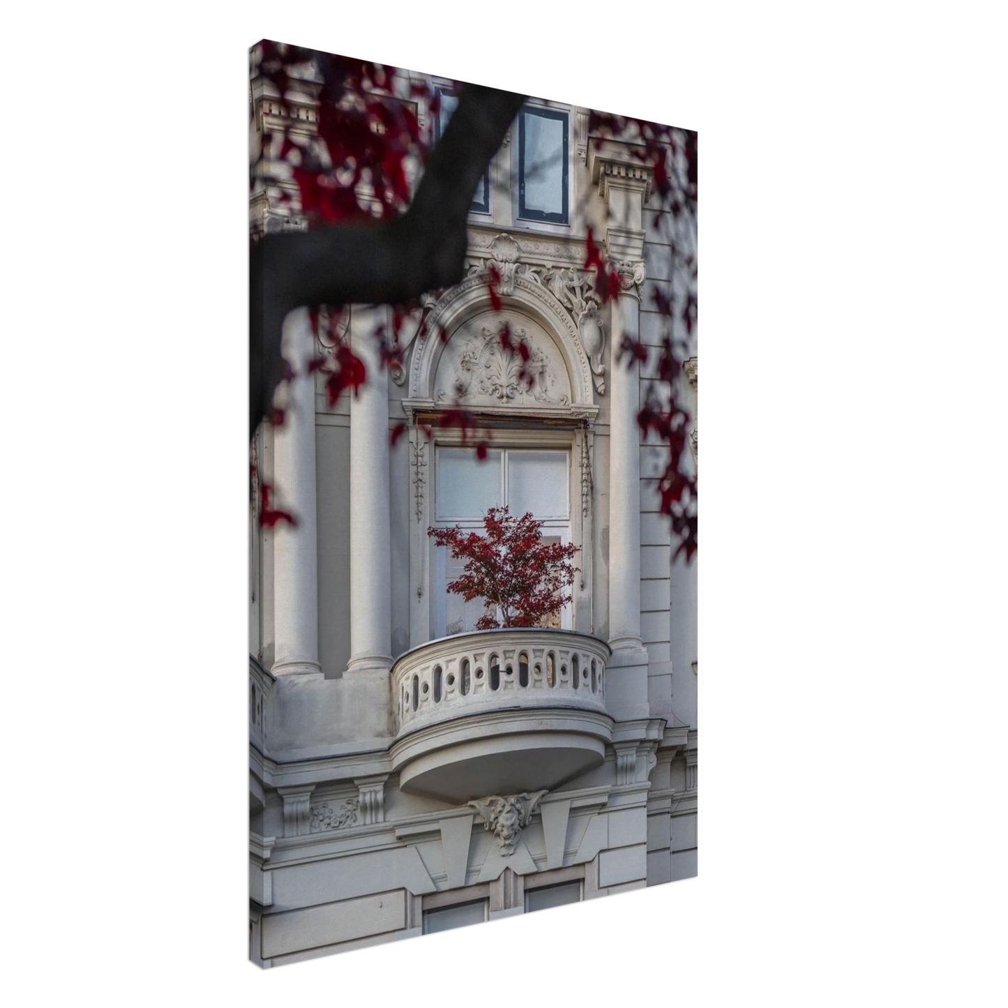 Red leaved tree in autumn colors in front of a historic stone building facade on Canvas Print wall art