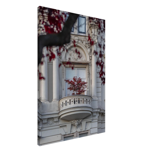 Red leaved tree in autumn colors in front of a historic stone building facade on Canvas Print wall art