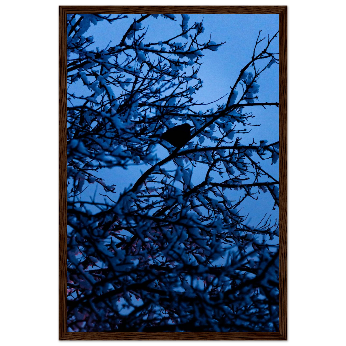 Blue Bird – kék madár faágon fakeretes fotónyomat