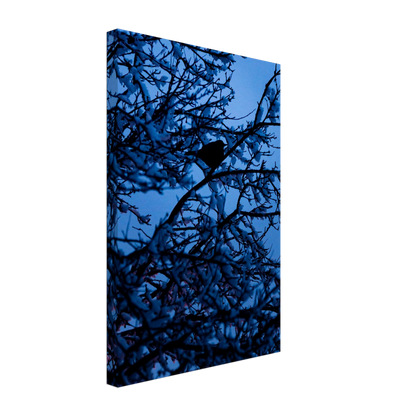 Blue Bird – blue bird on a branch nature photography canvas print
