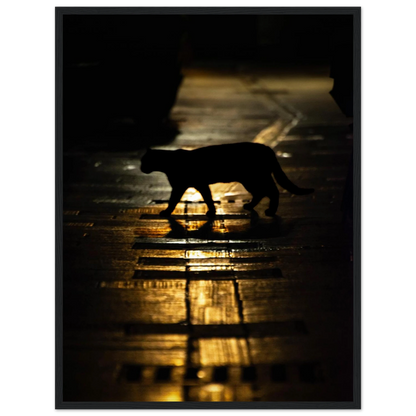 The Mysterious Cat – cat on a night street photography photo print in a wooden frame