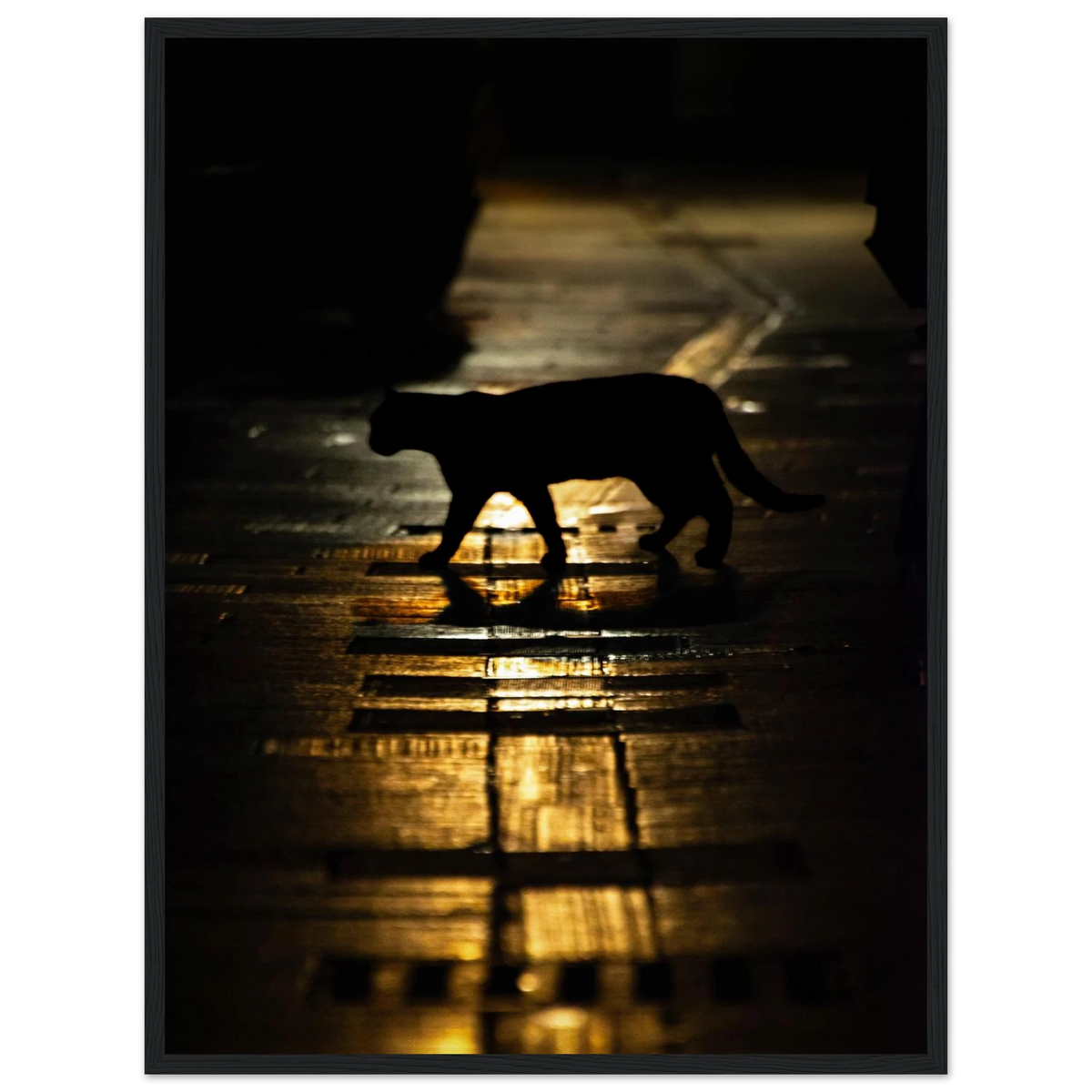 The Mysterious Cat – cat on a night street photography photo print in a wooden frame