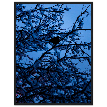 Blue Bird – kék madár faágon fakeretes fotónyomat