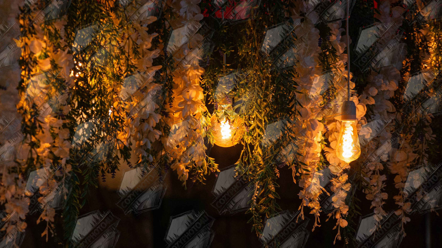 Nature digital picture with featuring fairy lights and spring flowers
