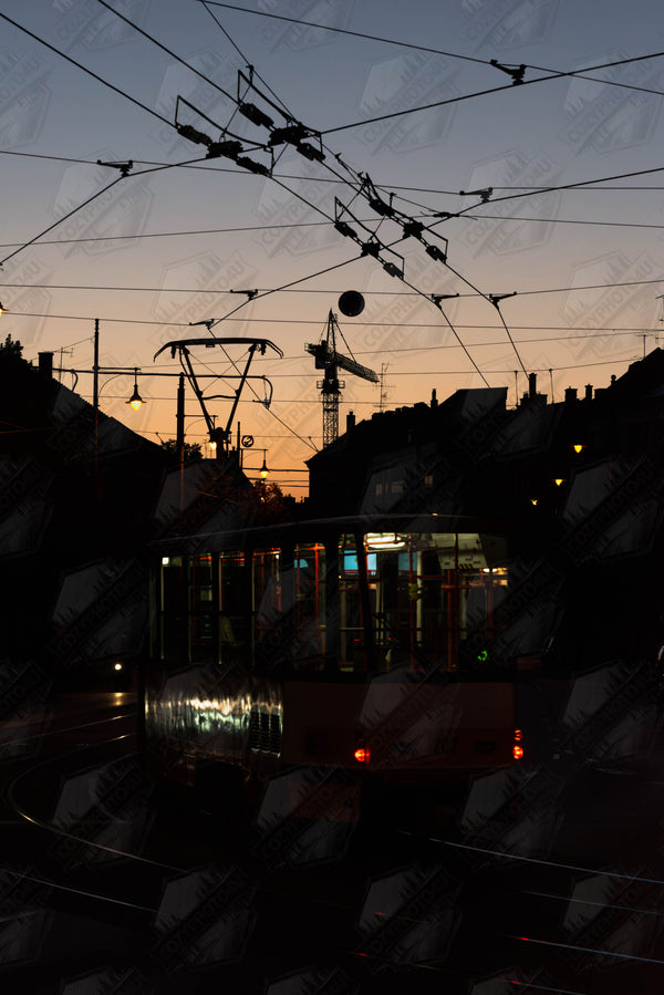 Tram in the sunset - My Store