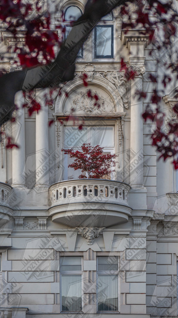 The red tree - My Store