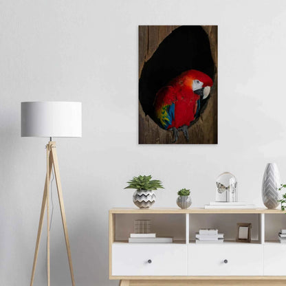 Canvas Print wall art featuring a close-up of a red, blue, and yellow Parrot in a dark wooden nest hole on the wall in the Livingroom
