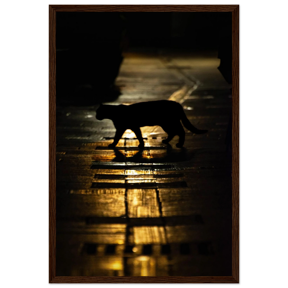 The Mysterious Cat – cat on a night street photography photo print in a wooden frame