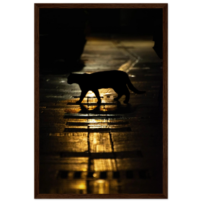 The Mysterious Cat – cat on a night street photography photo print in a wooden frame