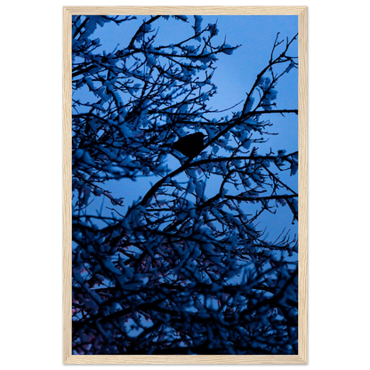 Blue Bird – kék madár faágon fakeretes fotónyomat