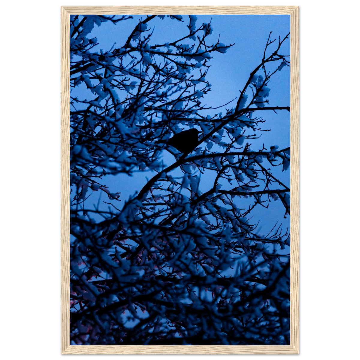 Blue Bird – kék madár faágon fakeretes fotónyomat