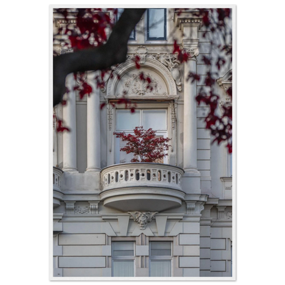 Red leaved tree in autumn colors in front of a historic stone building facade on wooden framed wall art