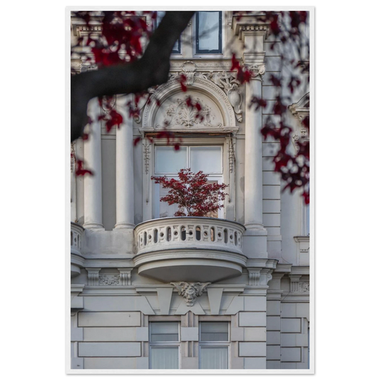 Red leaved tree in autumn colors in front of a historic stone building facade on wooden framed wall art