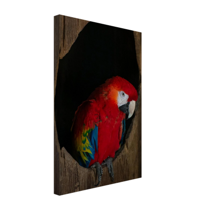 Canvas Print wall art featuring a close-up of a red, blue, and yellow Parrot in a dark wooden nest hole