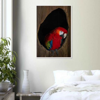Wooden framed wall art featuring a close-up of a red, blue, and yellow Parrot in a dark wooden nest hole on the wall in the Bedroom