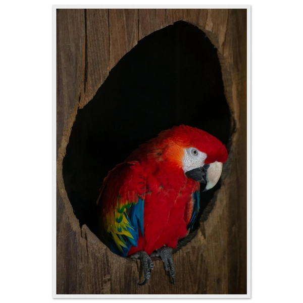 b05966cd-8cfc-4585-8f06-0ac40be3d94c