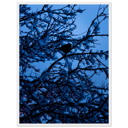 Blue Bird – kék madár faágon fakeretes fotónyomat