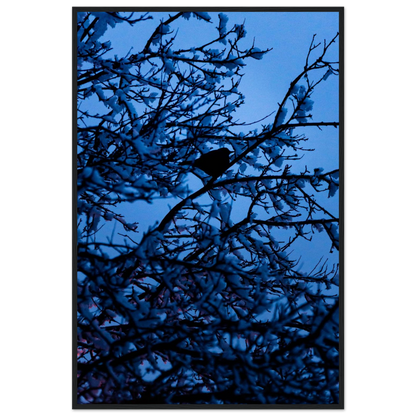 Blue Bird – kék madár faágon fakeretes fotónyomat