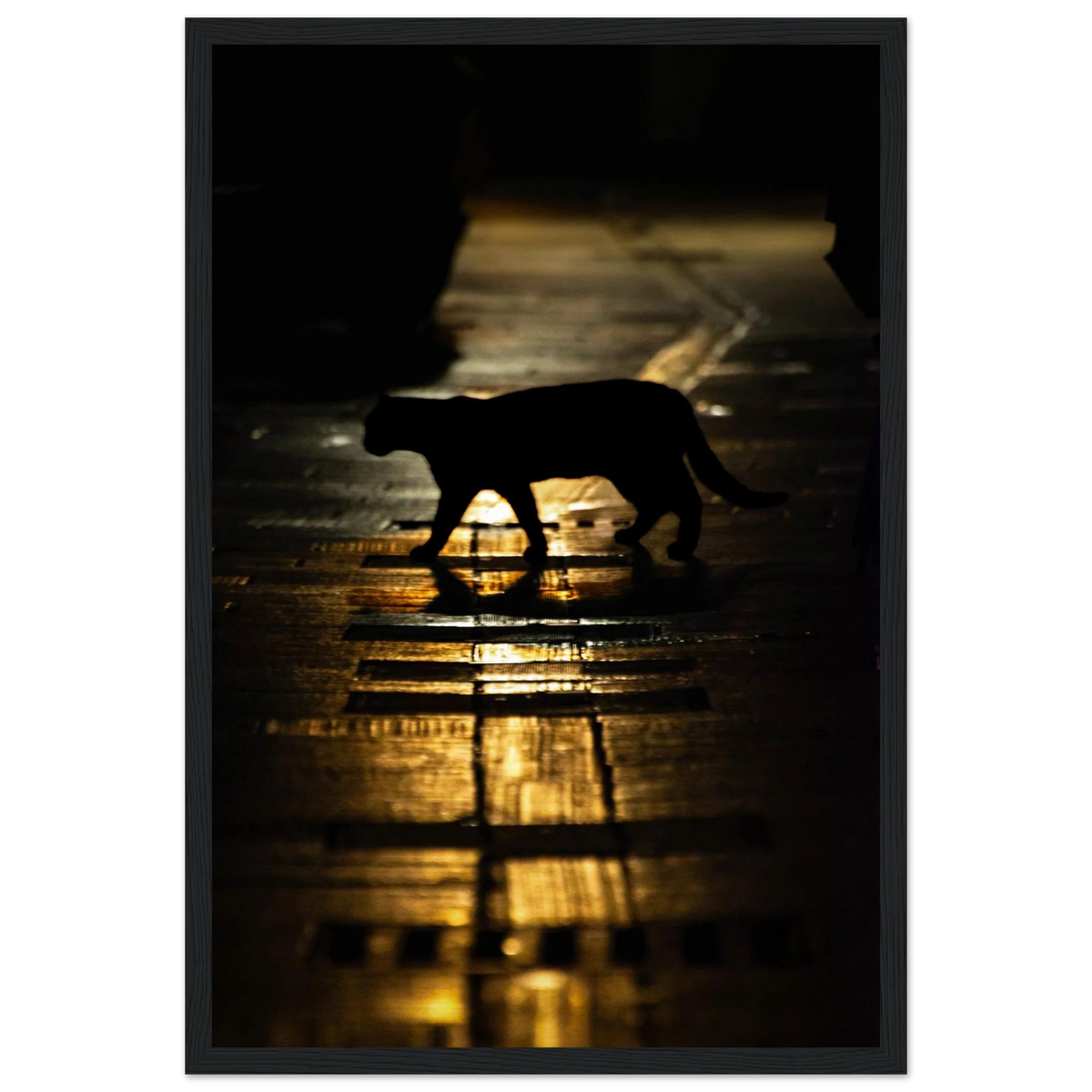 The Mysterious Cat – cat on a night street photography photo print in a wooden frame