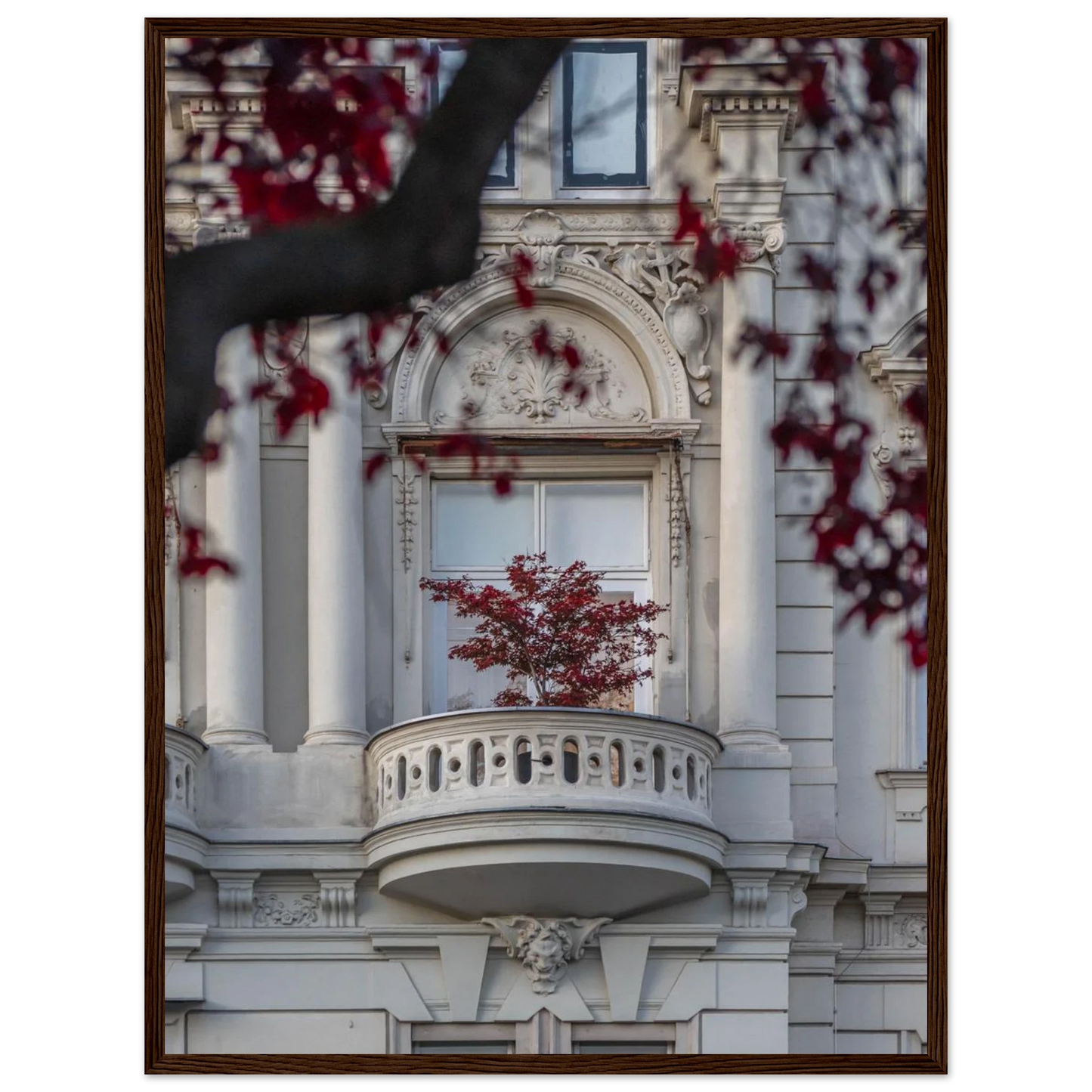 Red leaved tree in autumn colors in front of a historic stone building facade on wooden framed wall art