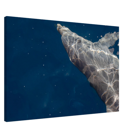 c02b7d07-7b16-46e7-9d30-46529904468b