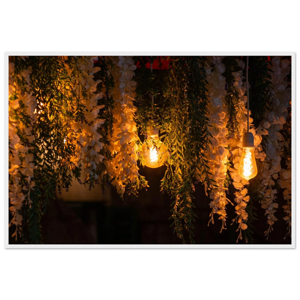 c0618eee-07fa-4958-a44f-769f7d283d56