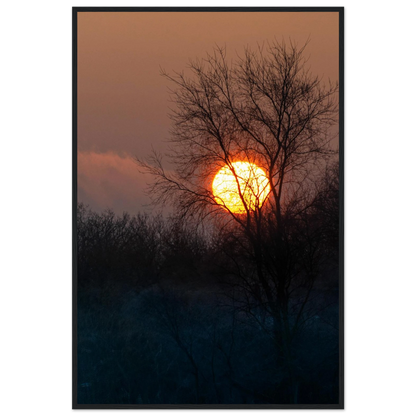Yellow Crown – sunset behind trees nature photography photo print in a wooden frame