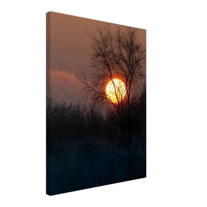 Yellow Crown – sunset behind trees nature photography canvas print
