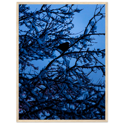 Blue Bird – kék madár faágon fakeretes fotónyomat