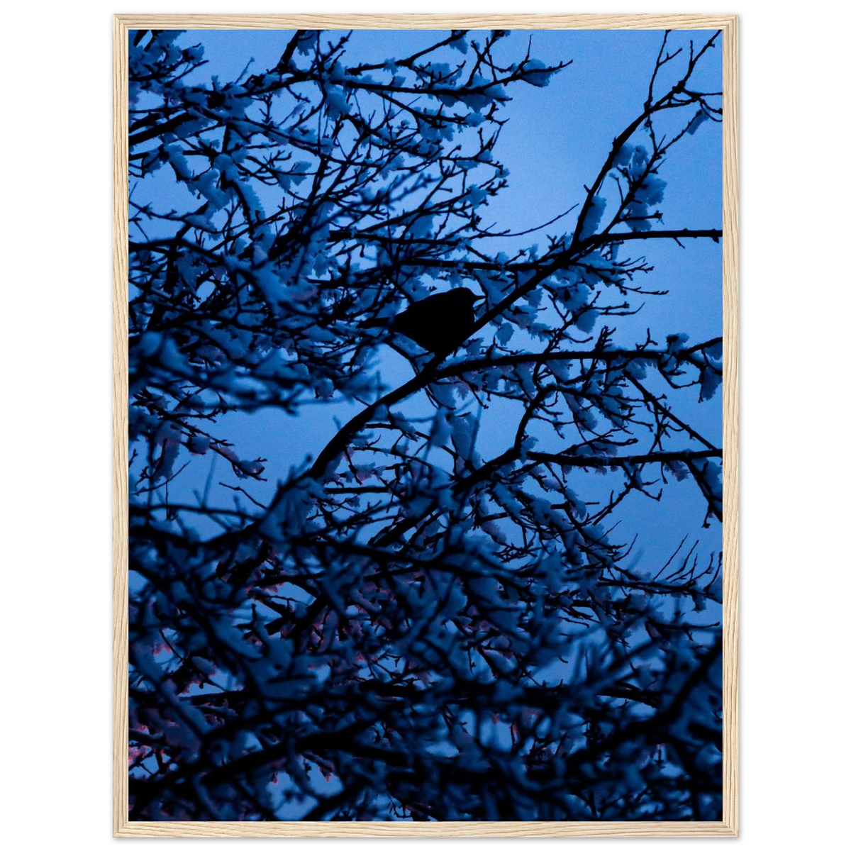 Blue Bird – kék madár faágon fakeretes fotónyomat