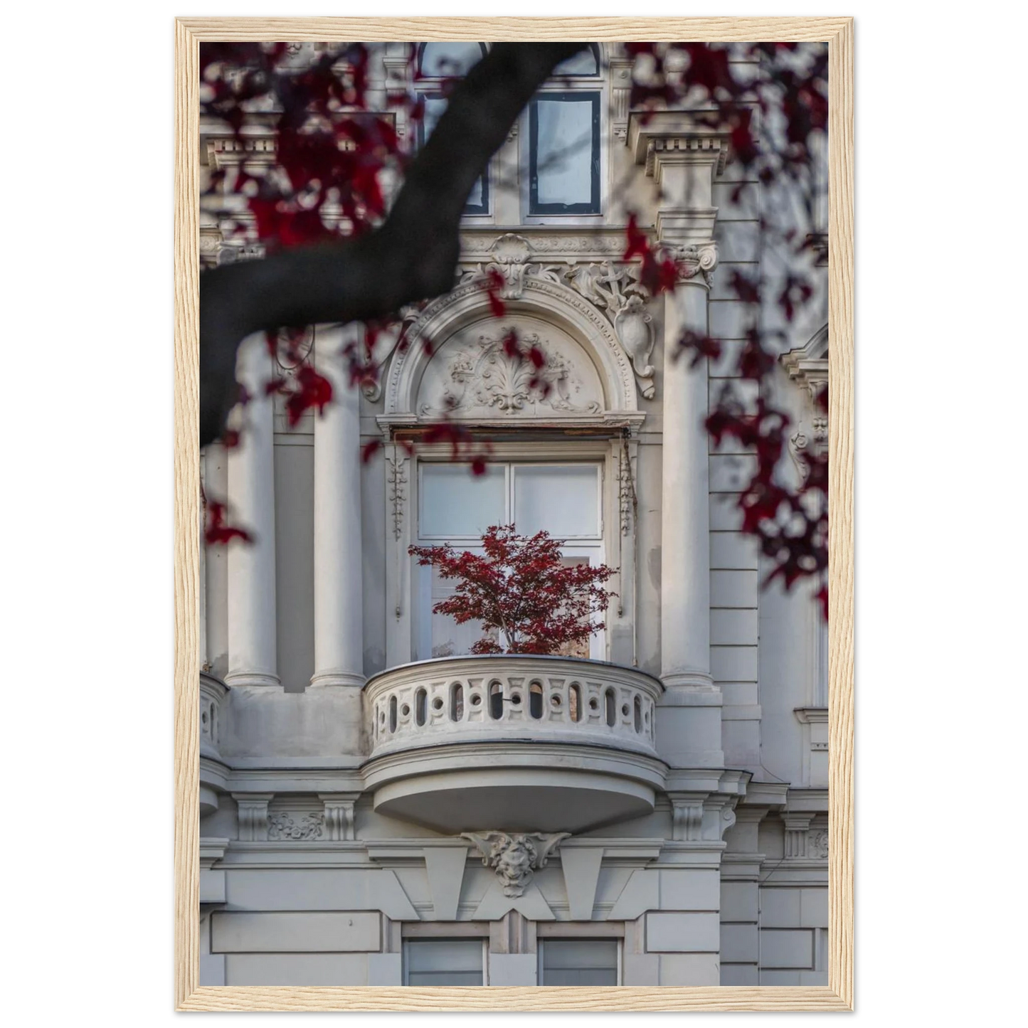 Red leaved tree in autumn colors in front of a historic stone building facade on wooden framed wall art
