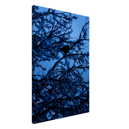 Blue Bird – blue bird on a branch nature photography canvas print