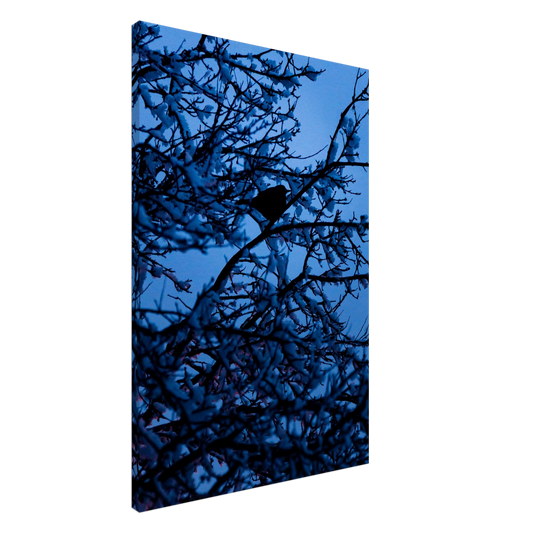 Blue Bird – blue bird on a branch nature photography canvas print