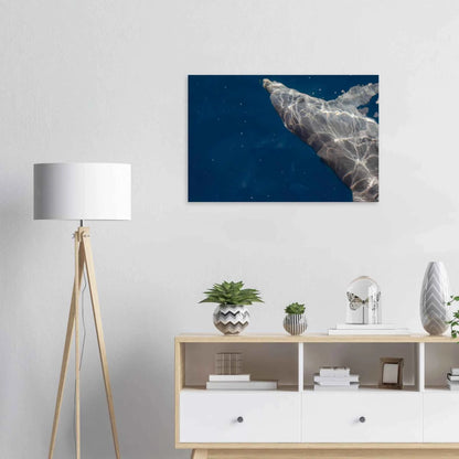 Canvas print wall art featuring a close-up of a Dolphin swimming under the surface of crystal clear blue sea water on the wall in the Livingroom