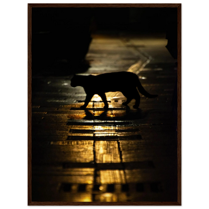 The Mysterious Cat – cat on a night street photography photo print in a wooden frame