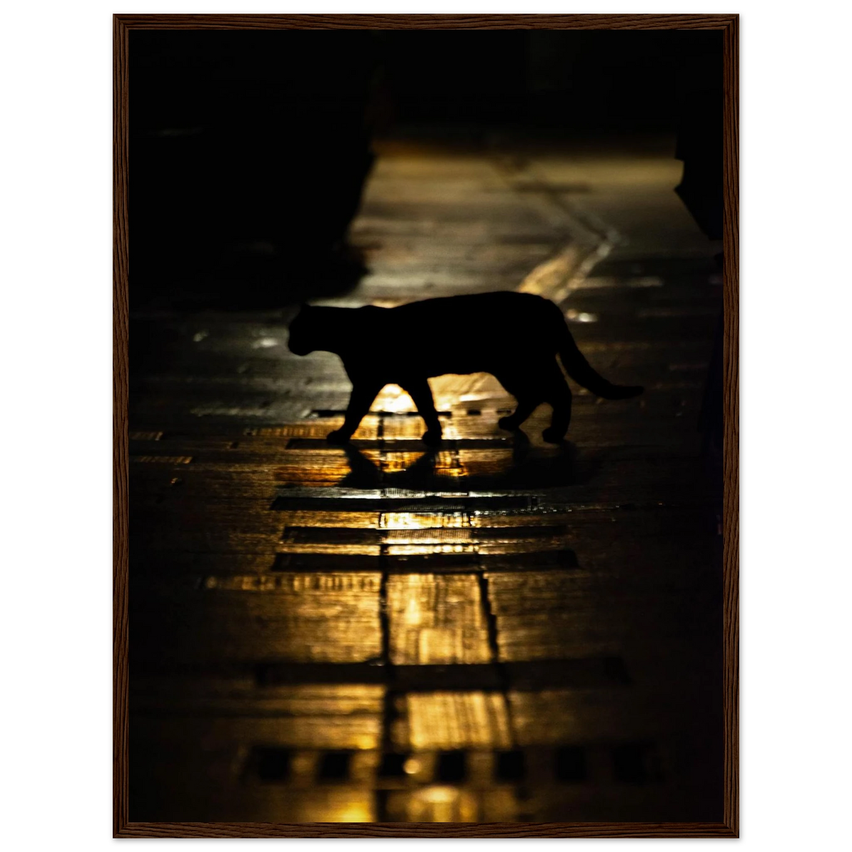 The Mysterious Cat – cat on a night street photography photo print in a wooden frame