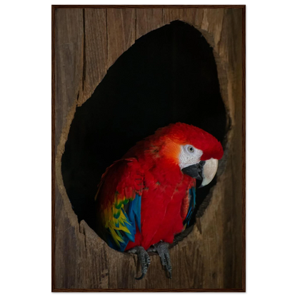 Wooden framed wall art featuring a close-up of a red, blue, and yellow Parrot in a dark wooden nest hole