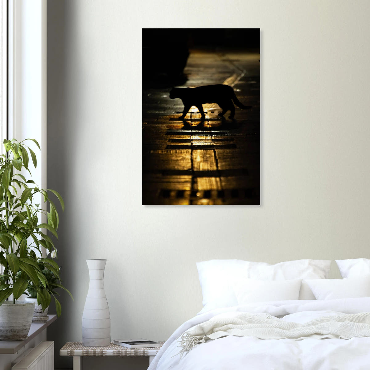 The Mysterious Cat – cat on a night street photography canvas print