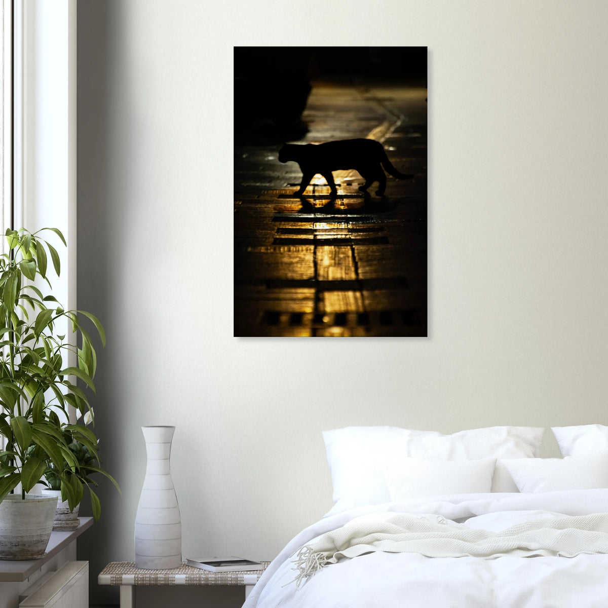 The Mysterious Cat – cat on a night street photography canvas print