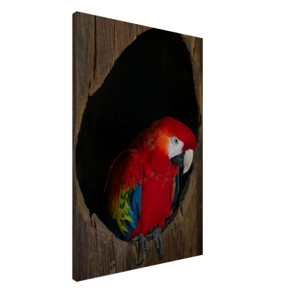 Canvas Print wall art featuring a close-up of a red, blue, and yellow Parrot in a dark wooden nest hole