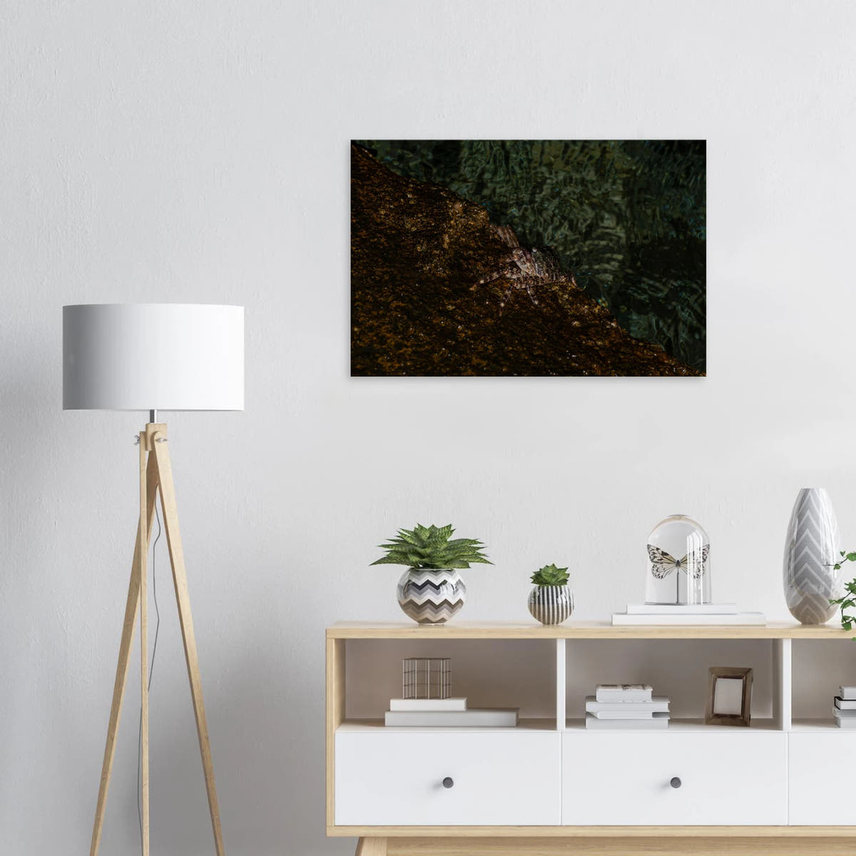 The Crab – crab on the seashore nature photography canvas print