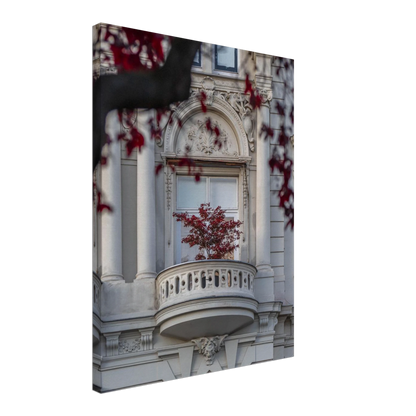 Red leaved tree in autumn colors in front of a historic stone building facade on Canvas Print wall art