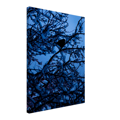 Blue Bird – blue bird on a branch nature photography canvas print