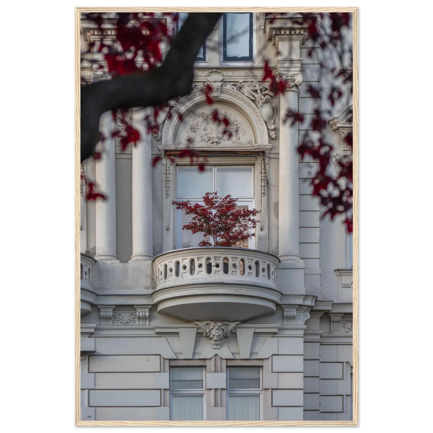 Red leaved tree in autumn colors in front of a historic stone building facade on wooden framed wall art