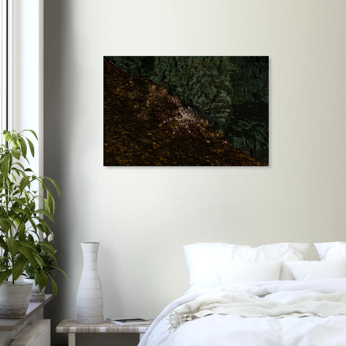 The Crab – crab on the seashore nature photography canvas print