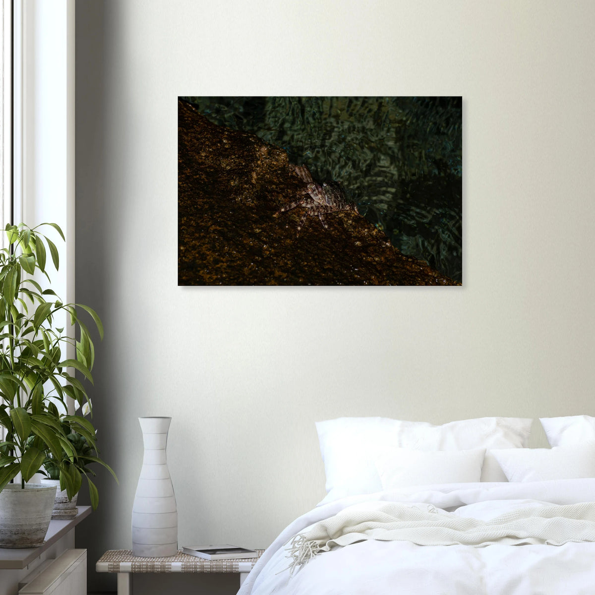 The Crab – crab on the seashore nature photography canvas print