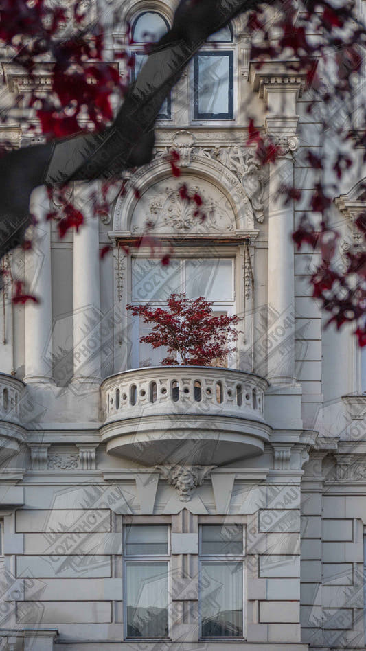 Digital picture art Red leaved tree in autumn colors in front of a historic stone building facade
